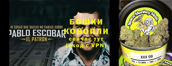 герыч Пересвет